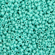 Miyuki rocailles 11/0 Opaque turquoise green 11-412