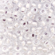 Miyuki rocailles 6/0 Pearlized effect silver 6-4613