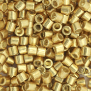Miyuki kralen delica's 8/0 Duracoat galvanized gold DBL-1832
