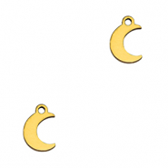 Roestvrij stalen (RVS) Stainless steel bedels moon Gold