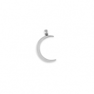 Roestvrij stalen (RVS) Stainless steel bedels La Luna maan Silver