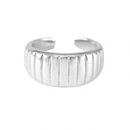 Roestvrij stalen (RVS) Stainless steel ringen Zilver