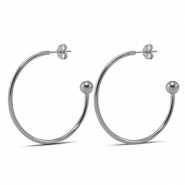 Roestvrij stalen (RVS) Stainless steel oorbellen 38mm Silver