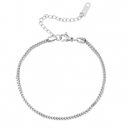 Roestvrij stalen (RVS) Stainless steel armbanden Silver