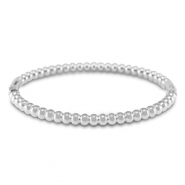 Roestvrij stalen (RVS) stainless steel armbanden Silver