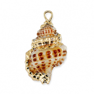 Schelp hangers specials Brown-gold