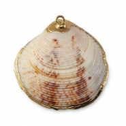 Schelp hangers specials Sint Jacobsschelp Mixed brown-gold