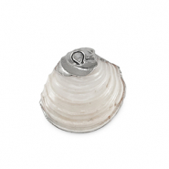 Schelp hangers specials Mossel Creamy white-silver