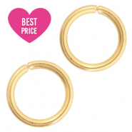 Roestvrij stalen (RVS) stainless steel onderdelen buigring 6mm Goud