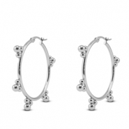 Roestvrij stalen (RVS) Stainless steel oorbellen creolen Silver