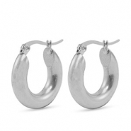 Roestvrij stalen (RVS) Stainless steel oorbellen creolen 20mm Silver