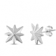 Roestvrij stalen (RVS) Stainless steel oorbellen / oorstekers ster Silver