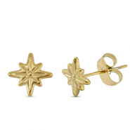 Roestvrij stalen (RVS) Stainless steel oorbellen / oorstekers ster Gold