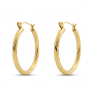 Roestvrij stalen (RVS) Stainless steel oorbellen creolen Gold