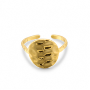Roestvrij stalen (RVS) Stainless steel ringen Gold