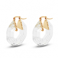 Trendy resin oorbellen hexagon Gold-transparent