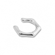 Roestvrij stalen (RVS) Stainless steel oorbellen ear cuff Silver