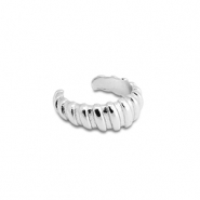 Roestvrij stalen (RVS) Stainless steel oorbellen ear cuff Silver