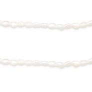 BQ Zoetwaterparels rice 5x4mm Natural white