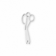 Bedels metaal schaar Silver