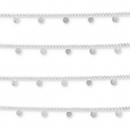 Roestvrij stalen (RVS) Stainless steel onderdelen jasseron met muntjes Silver