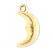 Roestvrij stalen (RVS) Stainless steel bedels maan Gold