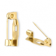 Roestvrij stalen (RVS) Stainless steel onderdelen brochespeld Gold
