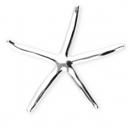 Roestvrij stalen (RVS) Stainless steel statement broches zeester Silver