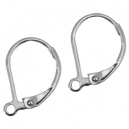 Roestvrij stalen (RVS) Stainless steel oorbellen sluitbare oorhangers Zilver