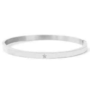 Roestvrij stalen (RVS) stainless steel armbanden met ster Zilver