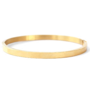 Roestvrij stalen (RVS) stainless steel armbanden Goud