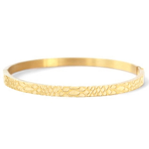 Roestvrij stalen (RVS) Stainless steel armbanden snake Goud