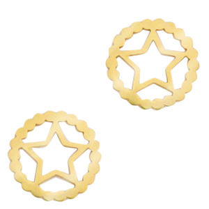 Roestvrij stalen (RVS) Stainless steel bedels/tussenstuk star Goud