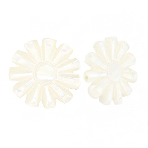 Schelp kralen zon White (natuurlijke kleur)