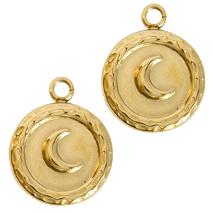Roestvrij stalen (RVS) Stainless steel bedels maan Goud