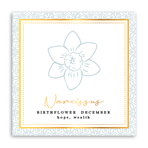 Sieraden kaartjes Birth flower December-Narcissus Greenish grey