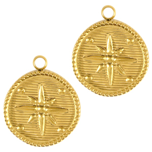 Roestvrij stalen (RVS) Stainless steel bedels ster Goud