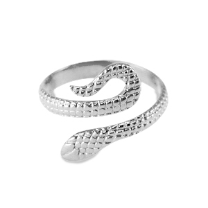 Roestvrij stalen (RVS) Stainless steel ringen Zilver