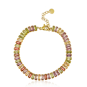 Roestvrij stalen (RVS) Stainless steel armbanden Goud-multicolour