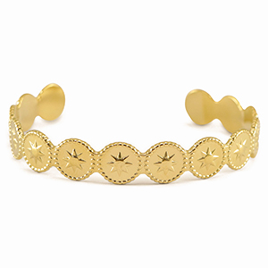 Roestvrij stalen (RVS) Stainless steel armbanden bangle star Gold