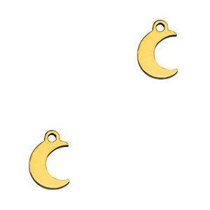 Roestvrij stalen (RVS) Stainless steel bedels moon Gold