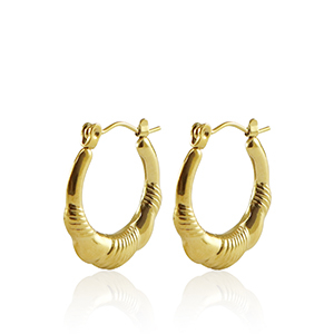 Roestvrij stalen (RVS) Stainless steel oorbellen creolen 20mm Gold