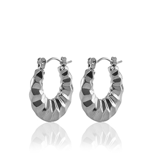 Roestvrij stalen (RVS) Stainless steel oorbellen creolen 20mm Silver