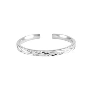 Roestvrij stalen (RVS) Stainless steel ringen Zilver