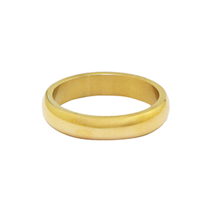 Roestvrij stalen (RVS) Stainless steel ringen Goud