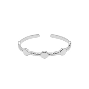 Roestvrij stalen (RVS) Stainless steel ringen Zilver