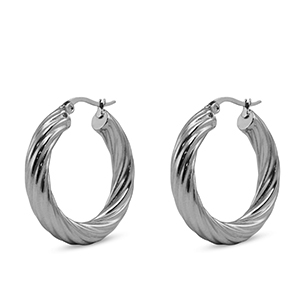 Roestvrij stalen (RVS) Stainless steel oorbellen creolen Silver