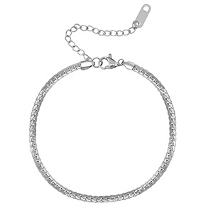 Roestvrij stalen (RVS) Stainless steel armbanden Silver