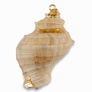 Schelp hangers specials Beige-gold
