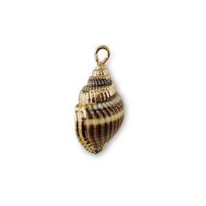 Schelp hangers specials Grey brown-gold